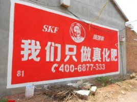 衡南刷墙广告”蕴含了时代命题