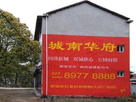 衡南百分之90的人都不了解的农村墙体广告