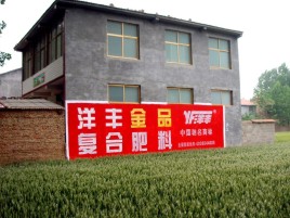衡南如何让墙体广告展现最大化效果