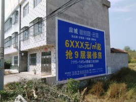 衡南墙体广告质量分析