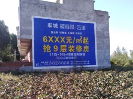 衡南墙体广告的好处