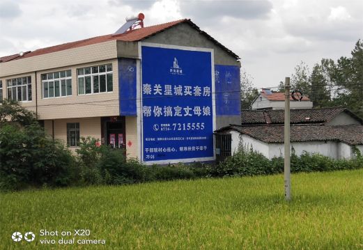 衡南决定墙体广告价格的因素有哪些？