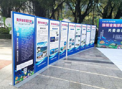 衡南KT板的种类和知识。